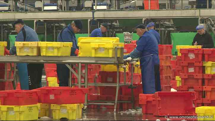 Urk - Visindustrie Urk kan binnenkort aan de slag met miljoenensteun