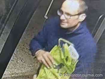 Police seek suspect after Edmonton bus driver assaulted