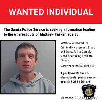 Man wanted by Sarnia police for criminal harassment arrested