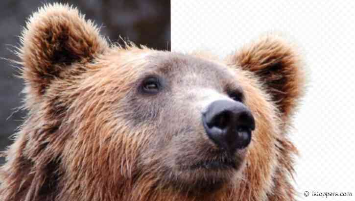 remove.bg Review: A Game-Changer for Automated Background Removal