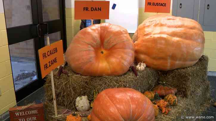 Dave and the Great Pumpkins of Fort Wayne
