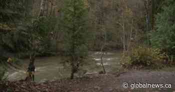 Search crews called to Coquitlam River banks as 59-year-old missing