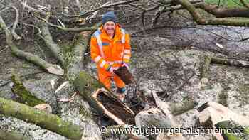 Bad Wörishofen lässt aus Sicherheitsgründen 66 Bäume fällen