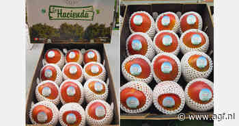 La Hacienda nieuw in het programma bij Keelings