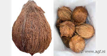 "Semi Husked Coconut erg populair"