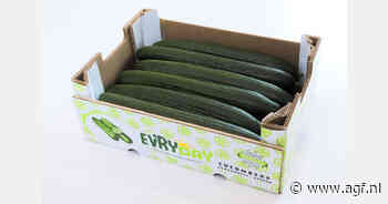 Areaal Spaanse komkommers Kompany verder gegroeid