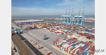 Containeroverslag stijgt met bijna 9% bij haven van Antwerpen