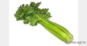 Groene selderij teruggeroepen wegens tebuconazole