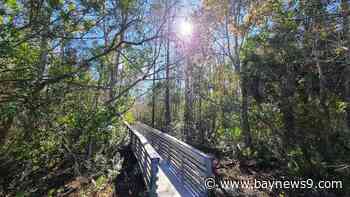 It's breezy and mostly sunny for Tuesday