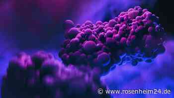 Nach Kontrollverlust in Afrika: Erster Nachweis von neuer Mpox-Variante in Deutschland