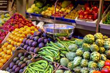 Kingston adopts plant-based food policy