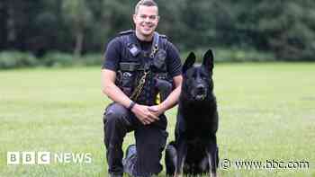 Dog handler 'honoured' to be nominated for award