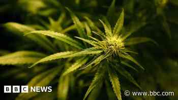 Man arrested after drugs haul found by police