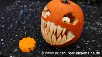 Jetzt noch schnell mitmachen: Wir suchen den schaurig-schönsten Kürbis der Region
