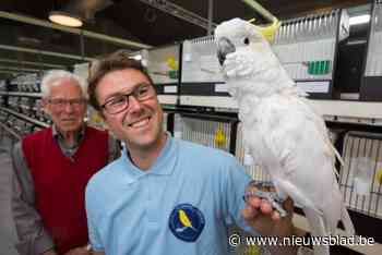 De Kanarie blaast zestig kaarsjes van vogelshow uit