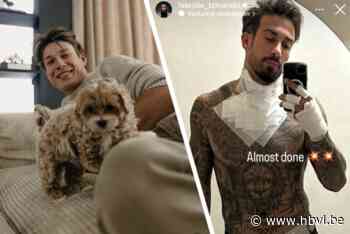 De week van bekend Limburg: gezinsuitbreiding bij Jasper Philipsen en Fabrizio neemt afscheid van zijn tattoos