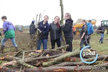 Jeugdbewegingen steken handen uit de mouwen in Schulensbroek