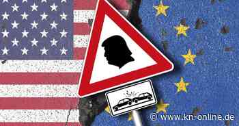 Einfuhrzölle um Wahlkampf zur US-Wahl: Donald Trumps teures Lieblingswort