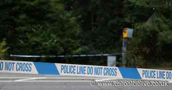 Pedestrian dies after being hit by a car on Newcastle's Coast Road