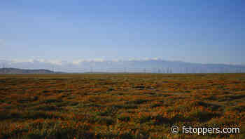 Is It Time To Pivot in Your Creative Career?