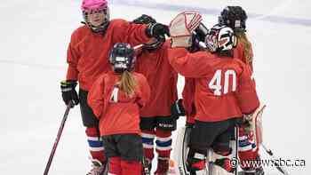 What's stopping more women and girls from playing hockey? Canadian sports body has some answers