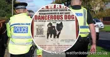 Parents 'scared to let kids play outside' amid 'dangerous dog' search