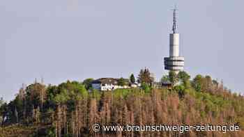 Nummer 1 werden: Bad Sachsa plant touristische Revolution im Harz