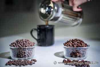 Kaffee aus Lupinen: Das hat die regionale Alternative zu bieten