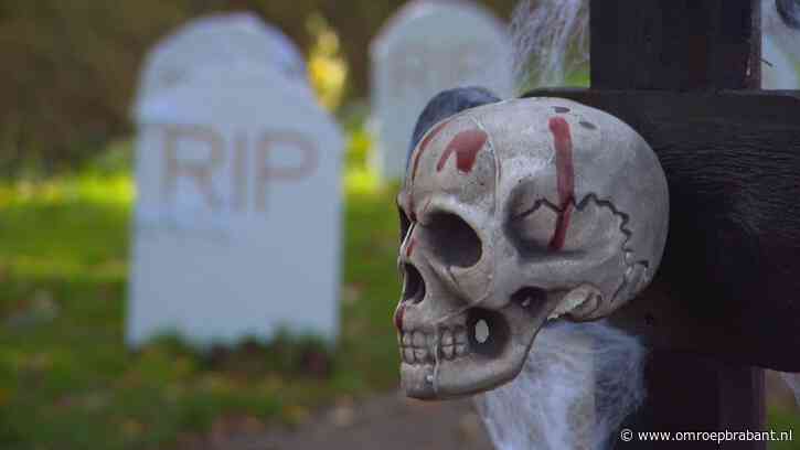 Van horrordoolhof tot creepy wasstraat: hier moet je met Halloween zijn