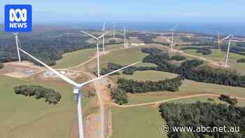 Green energy boast looking shaky with fossil fuels, electricity imports in Tasmania's mix