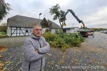 Warburg: 104 Jahre alte Linden fallen vor der Schützenhalle Germete