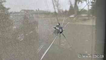 Regina police investigating property damage report at Sask. Party candidate's campaign office