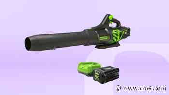 Our Favorite Electric Leaf Blower Is $80 Off at Best Buy Right Now