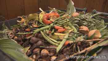 Almost half of all food wasted in Canada is avoidable, new report suggests