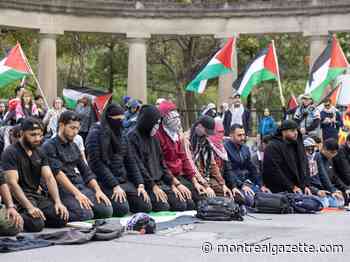 Court denies McGill's request to extend order banning pro-Palestinian protests