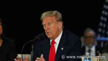 Trump vrijdag in podcastshow van Joe Rogan, melden media