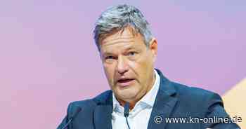 „Deutschlandfonds“: Habeck plant Investitionsförderung in Milliardenhöhe