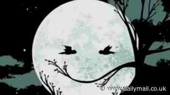 Smiling face or moon? What you see first in new optical illusion reveals your deepest fear