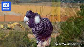 Land clearing labelled '1960s behaviour' as miner acknowledges complex rehabilitation