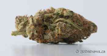 Manitoba government says it needs more time to review some cannabis licences