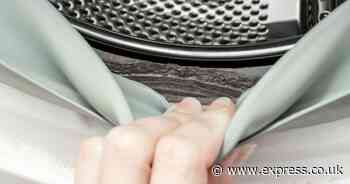 Remove limescale and mould from your washing machine with just 1 kitchen item experts love