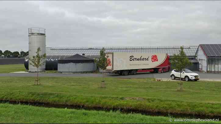 Luttelgeest - Pleit beslecht in kweekfamilieruzie: oude Bernhard moet machines aan zoons geven