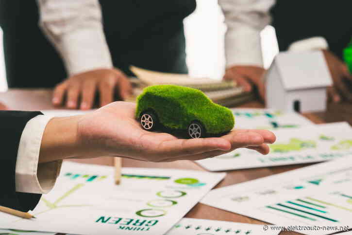 E-Auto-Markt 2025: Mehr Zulassungen und Preissenkungen