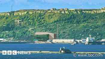 Carbon target impossible with incinerator, council leader says