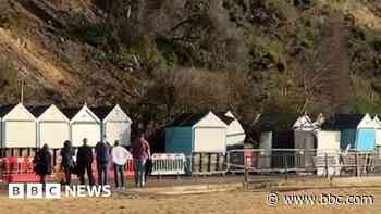 Woman and dog escape as landslip hits beach huts