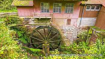 Lochsägemühle Neubulach: „Verrotten lassen,  erhalten, verkaufen“ – was passiert mit dem Gebäude?