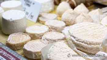 Dove comprare formaggio a Roma: le migliori botteghe e gastronomie
