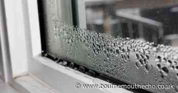 Why condensation is forming on your windows and how to stop it