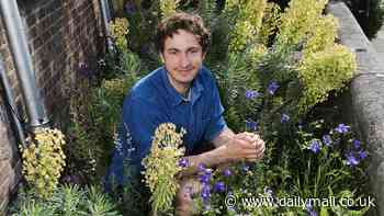 Gardens could soon 'speak' to humans using AI to ask for water and say how they are feeling
