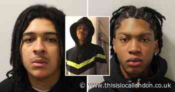 Two jailed for stabbing boy, 16, to death in 'brutal' attack outside his Enfield home